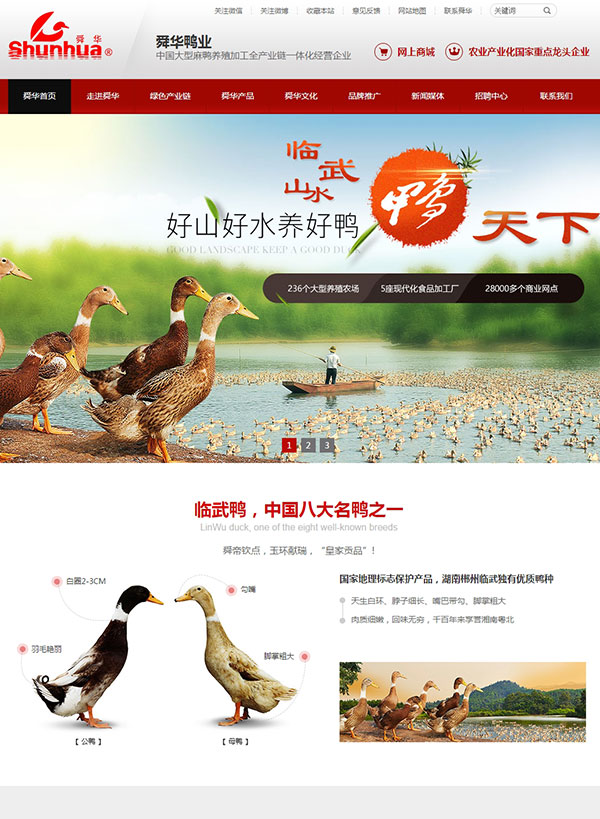 湖南臨武舜華鴨業(yè)營銷品牌網站案例